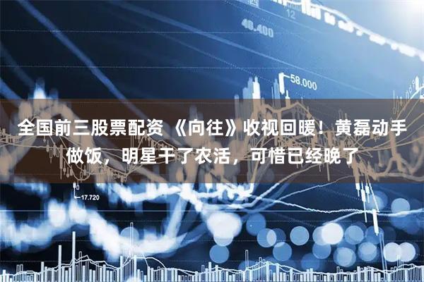 全国前三股票配资 《向往》收视回暖！黄磊动手做饭，明星干了农活，可惜已经晚了