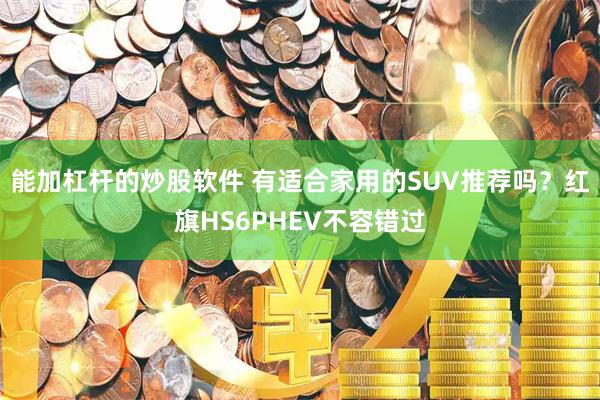 能加杠杆的炒股软件 有适合家用的SUV推荐吗？红旗HS6PHEV不容错过