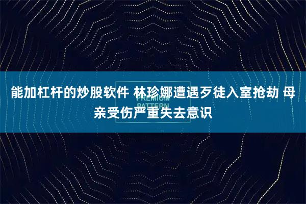 能加杠杆的炒股软件 林珍娜遭遇歹徒入室抢劫 母亲受伤严重失去意识
