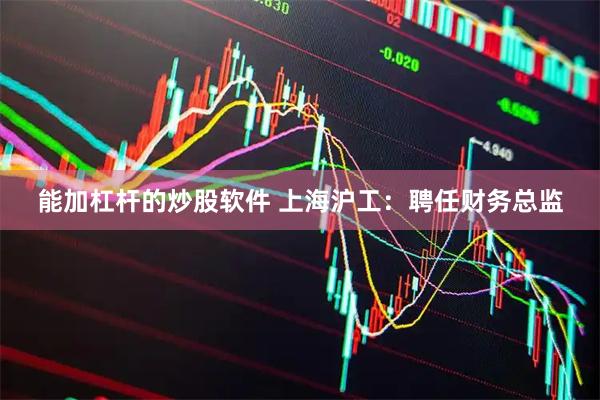 能加杠杆的炒股软件 上海沪工：聘任财务总监