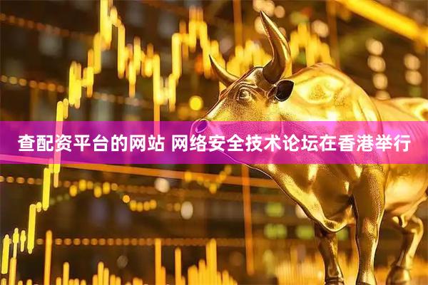 查配资平台的网站 网络安全技术论坛在香港举行