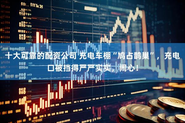 十大可靠的配资公司 充电车棚“鸠占鹊巢”，充电口被挡得严严实实，闹心！