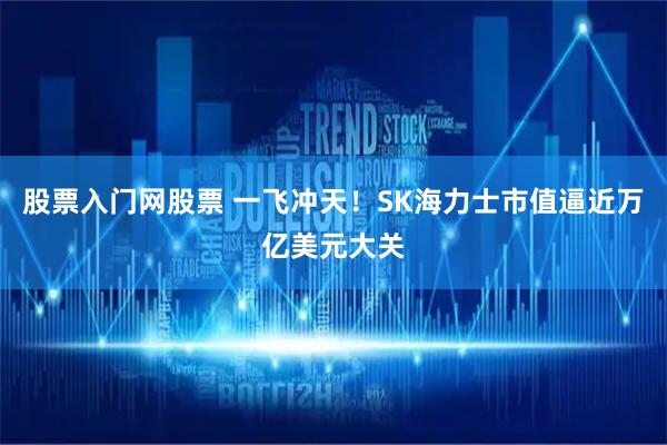 股票入门网股票 一飞冲天！SK海力士市值逼近万亿美元大关